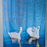 Штора для ванной SWANS Лебеди фото 2